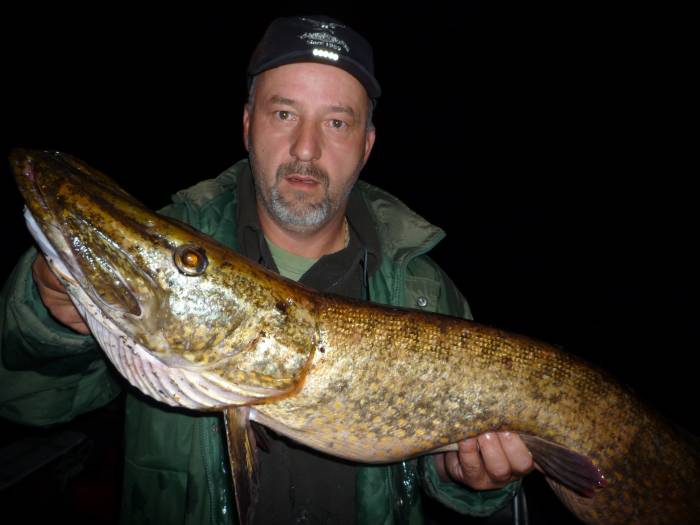 Foxen Hecht bei Nacht. Foxen Hecht bei Nacht.